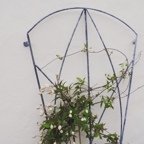 Titley Trellis
