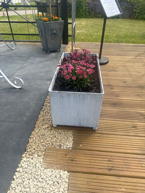 Thumbnail: planter