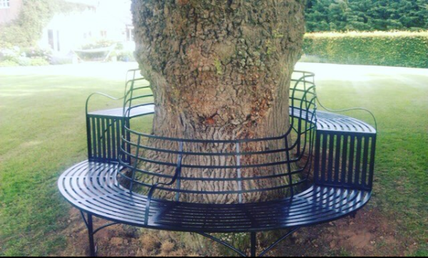 Tree Seat