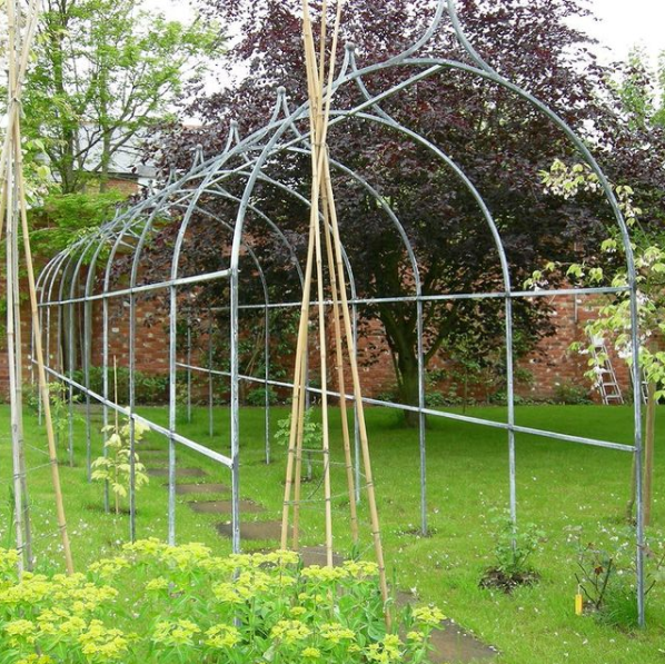 Pergola