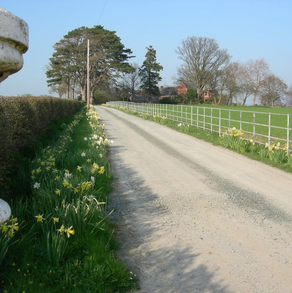 Estate Rails
