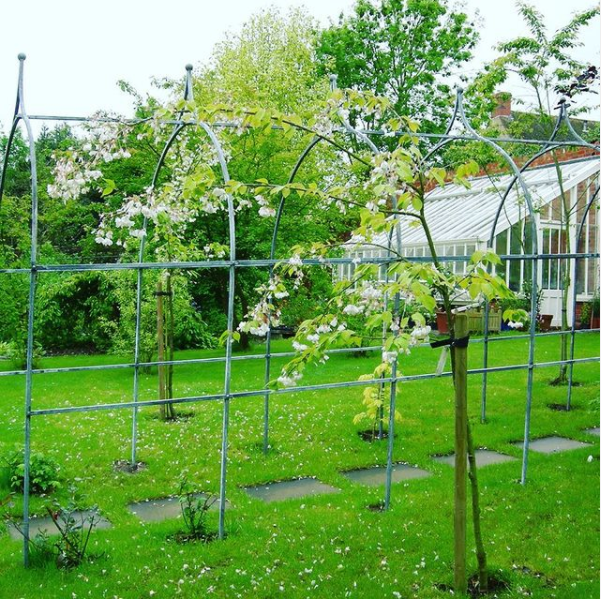 Pergola