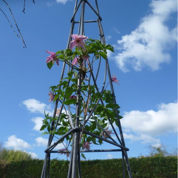 Pyramid Obelisk