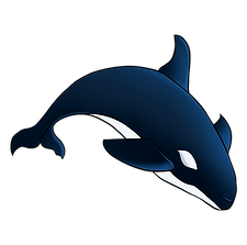 Orca iptv