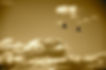5D57C707-202B-4014-A938-6587BA02F3B0.jpe