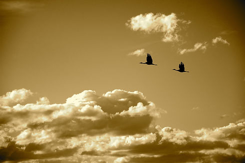 5D57C707-202B-4014-A938-6587BA02F3B0.jpe