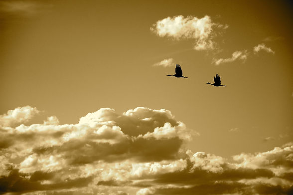 5D57C707-202B-4014-A938-6587BA02F3B0.jpe