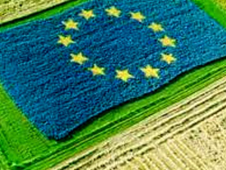 DALL'EUROCAMERA 1,2 MILIARDI PER L'AGRICOLTURA ITALIANA