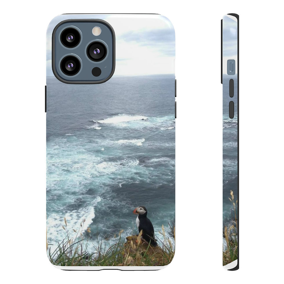 Thumbnail: Icelandic Puffin: Tough Cases