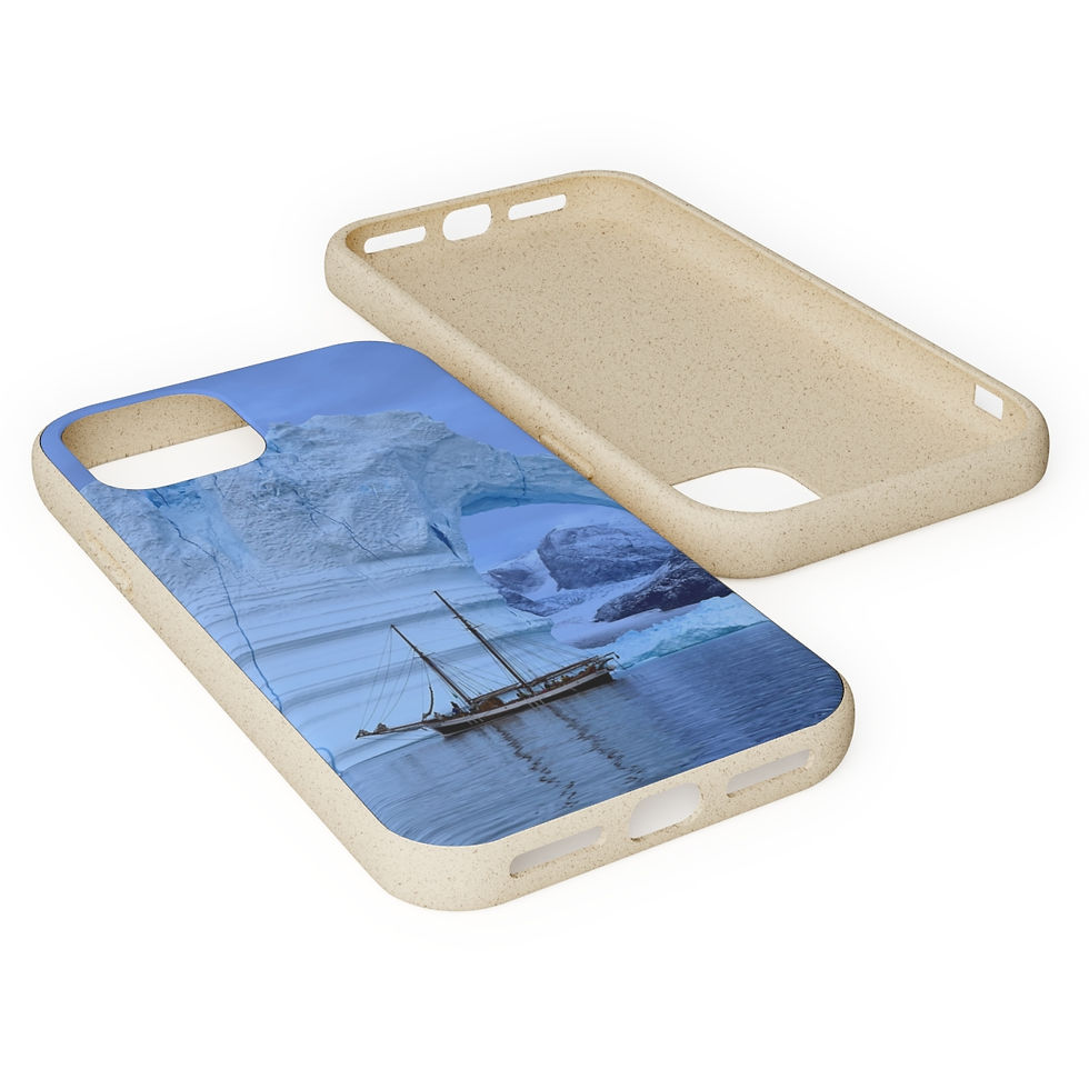 Thumbnail: Biodegradable Phone Case: Ópal & the Iceberg