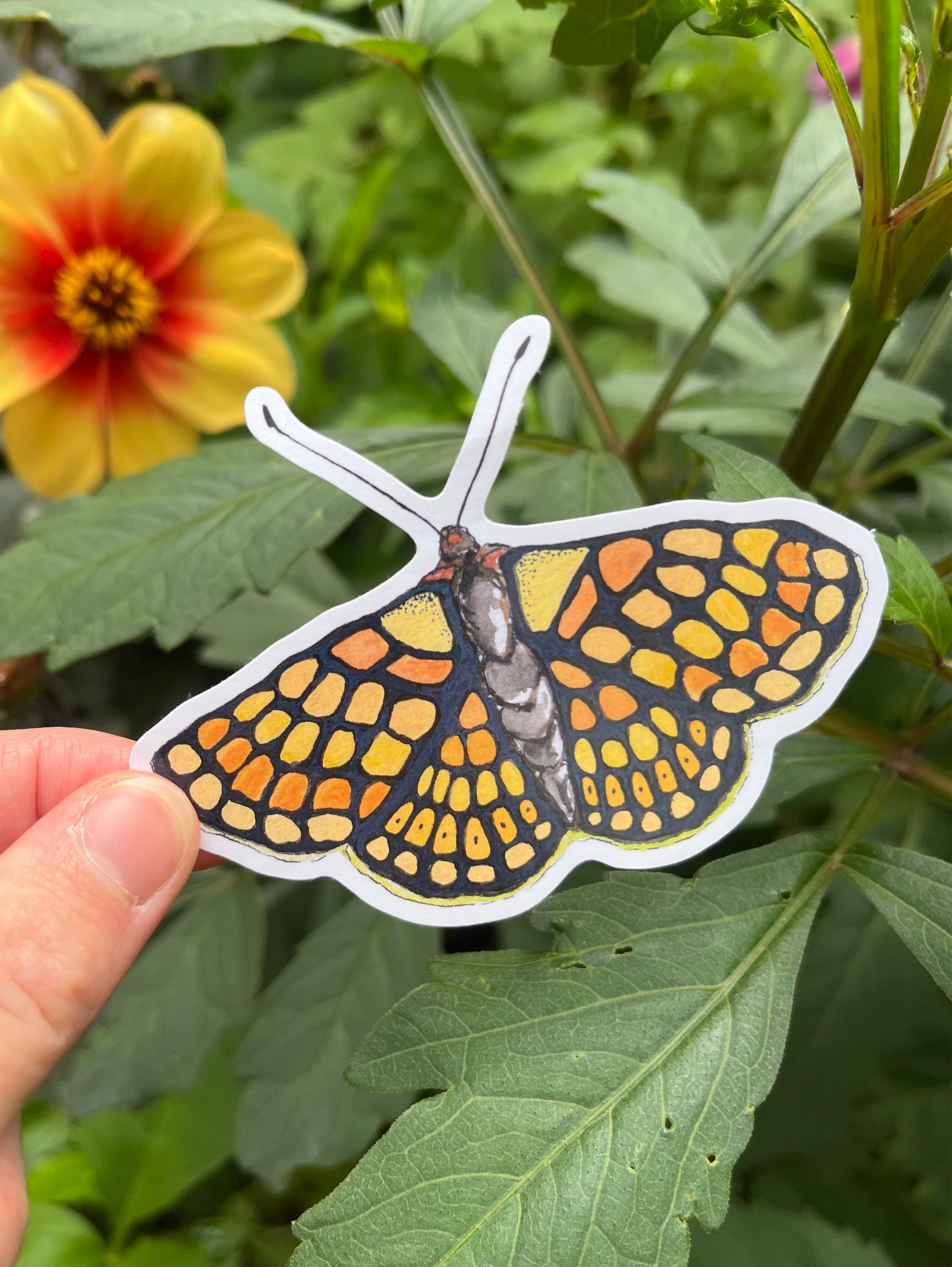 Orange Butterfly Sticker