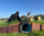 IMG_4540.jpeg