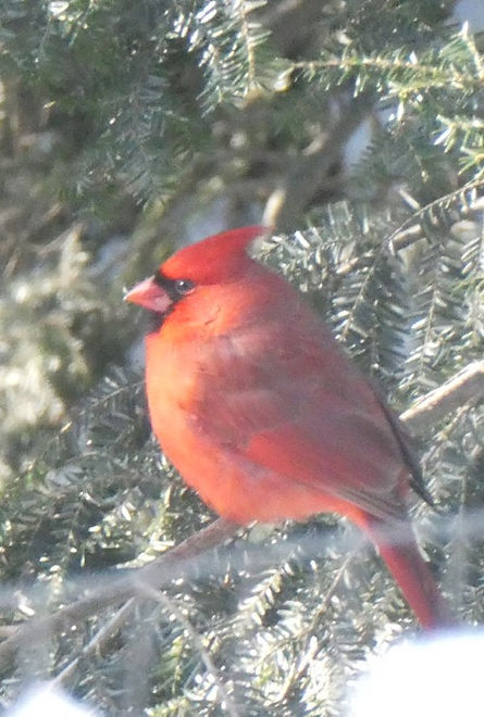 P1010023 (Medium).JPG