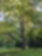 PXL_20230814_105148173_edited.jpg
