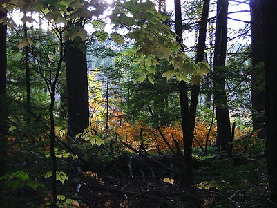 DSCF5145.JPG