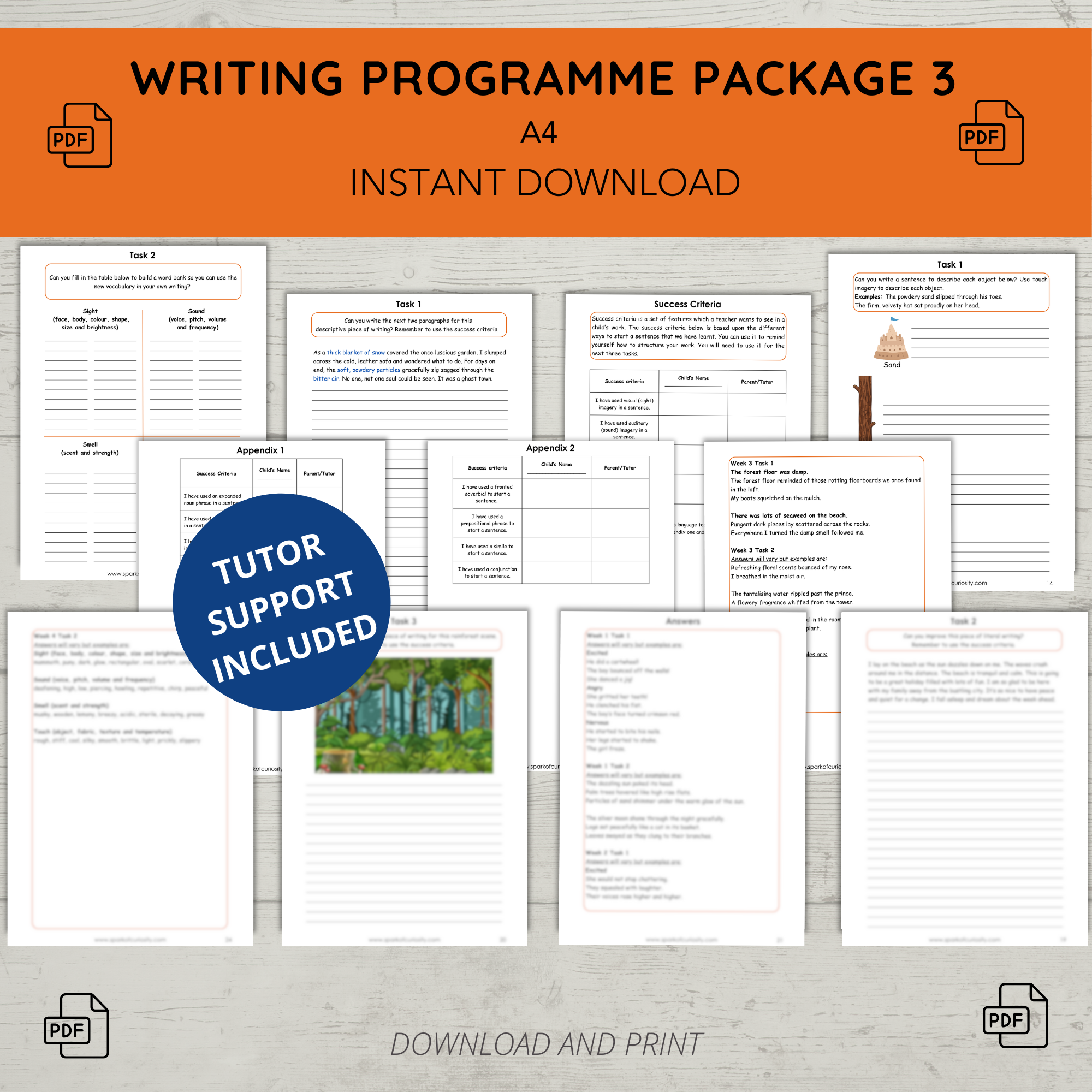 Descriptive Writing Programme 3 Tutor Package