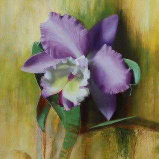 Purple Orchid
