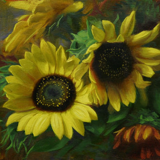 Garden Sunflowers