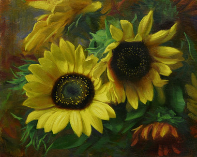 Garden Sunflowers