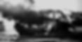 shutterstock_530336356_edited_edited_edited_edited_edited.jpg