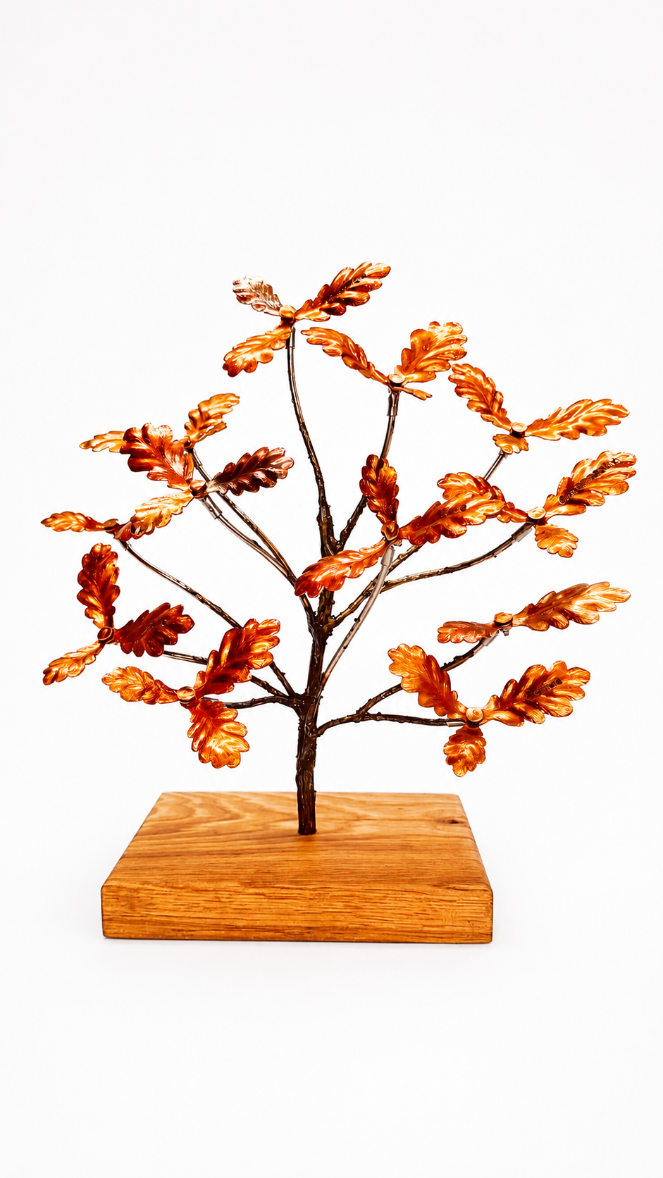 Heritage Oak