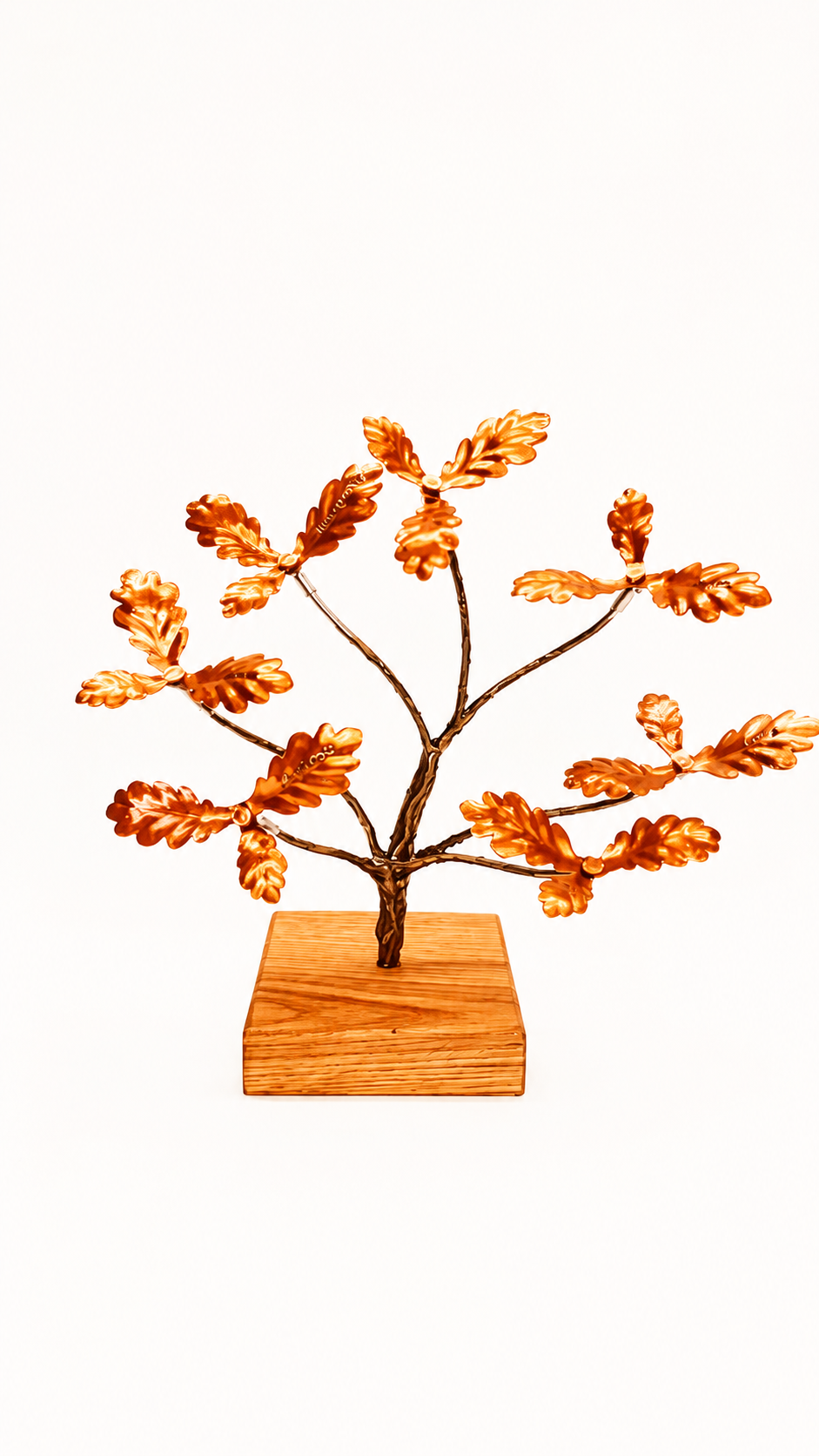 Forest Oak