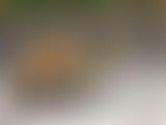 If All Life is Sacred How Shall We Live