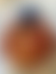 Take Me Out To The Ball Game!