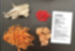 Thumbnail: S62. Dried Cordyceps Flower and Dried Figs Soup (one pack for 8-10 bowls)