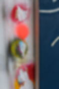 DSCF0665.JPG