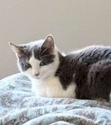 IMG_5407_edited_edited