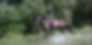 sw9q5xssp1dfmjx1g20220126104347_edited