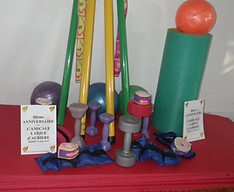 Amicale laïque aubière gym