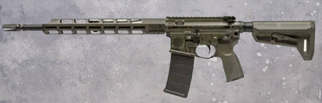 Backwoods Armory | gun | 17849 Highway 80, Brooklet, GA, USA