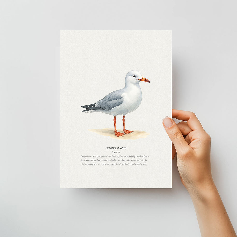 Hand holding a print of a watercolor seagull (martı) illustration, representing the spirit of Istanbul by the sea.