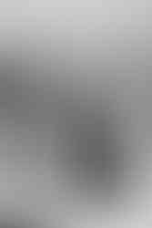 Bride and groom facing each other before their first kiss as a married couple