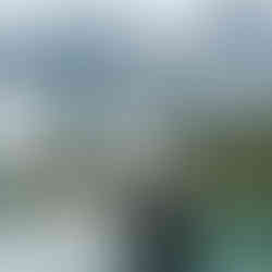 Canmore wedding at the Malcolm Hotel