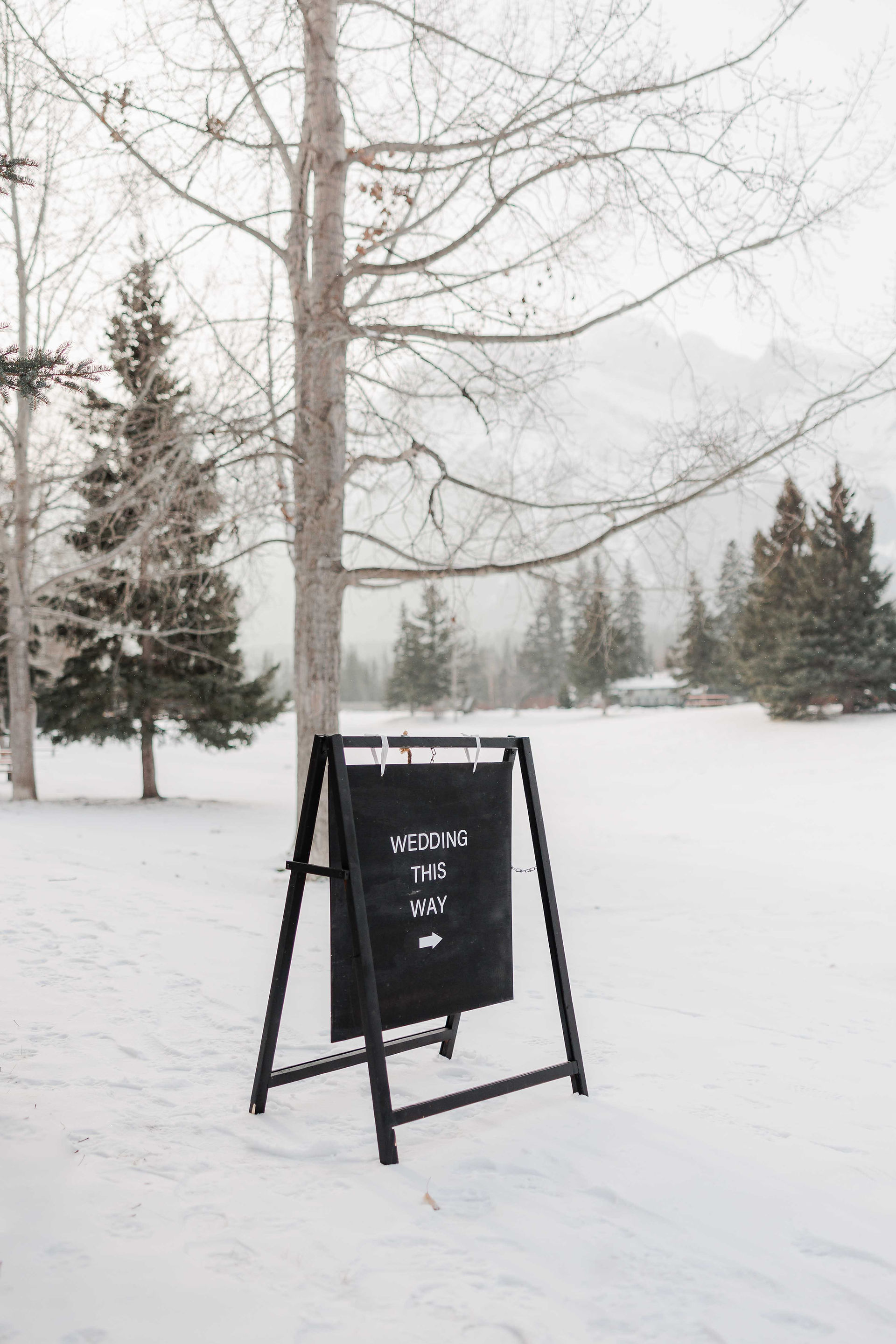 Wedding Sign