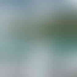 Bride posing for her portrait