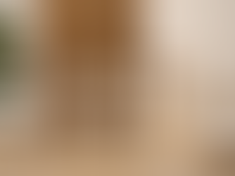 Transform Your Space with Barn Doors: The Simple Stylish Upgrade Every Home Needs