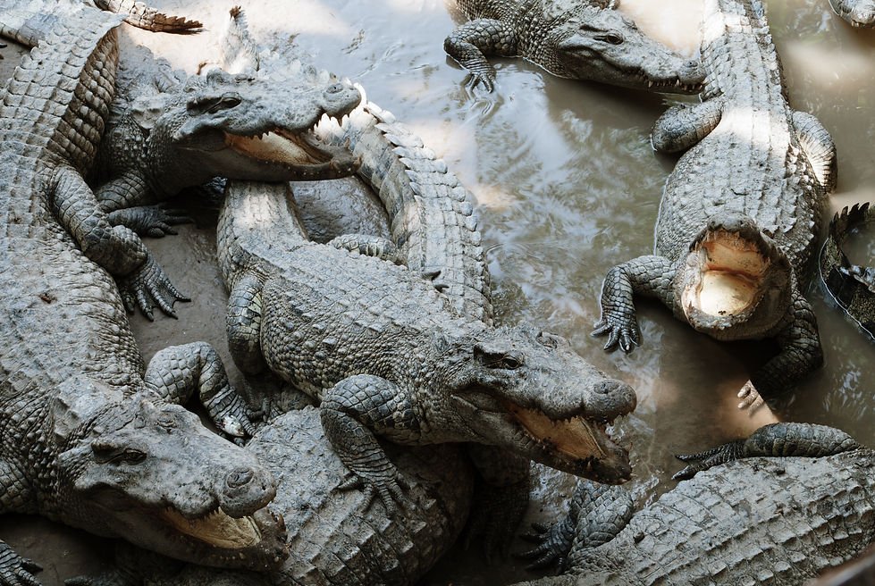 mekong-delta-vietnam-travel-photography-