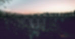 unsplash007.jpg