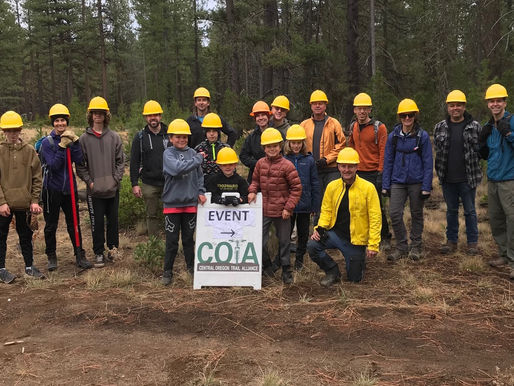 February Roundup 💌