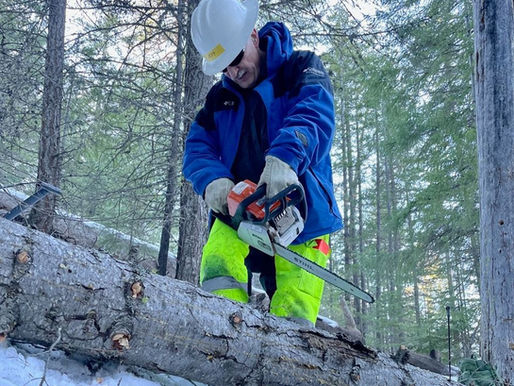 February Roundup 💌