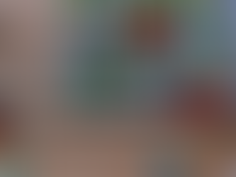 Nuestros Inicios en el Mundo Digital