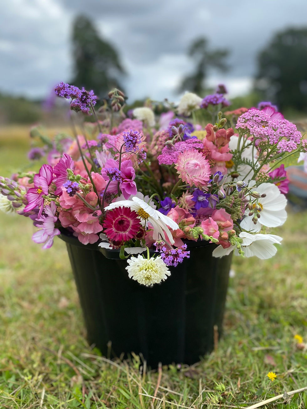 Thumbnail: Bucket of Flowers