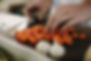 Preparing Food