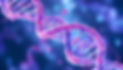 Screenshot 2025-01-22 at 2.35_edited.jpg