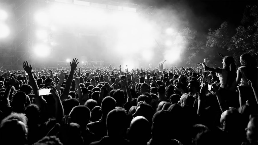 rear-view-large-group-music-fans-front-stage-music-concert-by-night-copy-space_edited.jpg