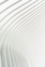 zsrh litigation lawyers llp background